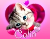 calin